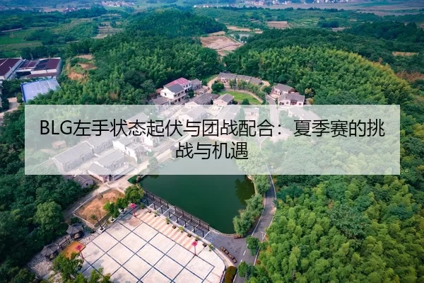BLG左手状态起伏与团战配合：夏季赛的挑战与机遇