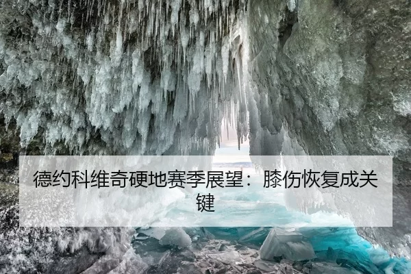 德约科维奇硬地赛季展望：膝伤恢复成关键