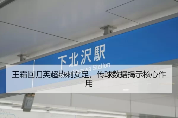 wang-shuang-hui-gui-ying-chao-re-ci-nv-zu-chuan-qiu-shu-ju-jie-shi-he-xin-zuo-yong-2-252.jpg