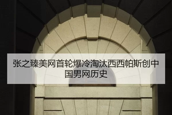 张之臻美网首轮爆冷淘汰西西帕斯创中国男网历史