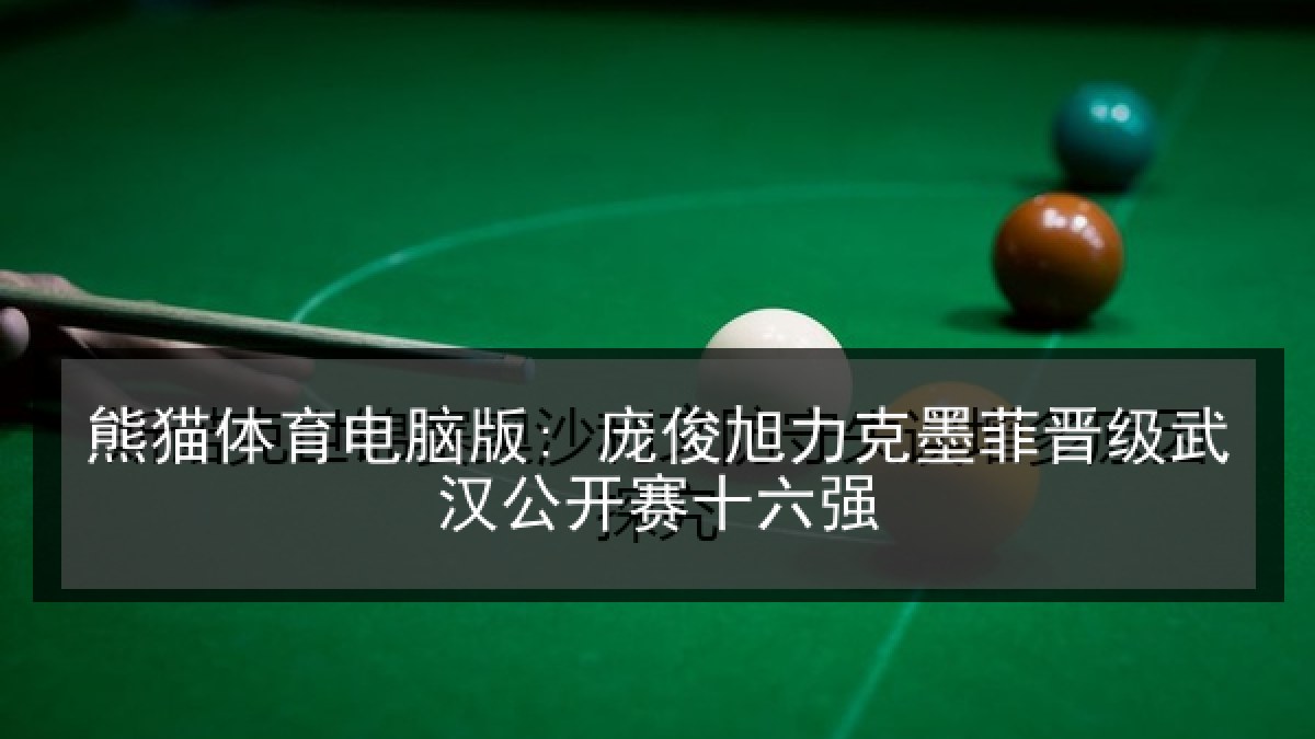 熊猫体育电脑版: 庞俊旭力克墨菲晋级武汉公开赛十六强