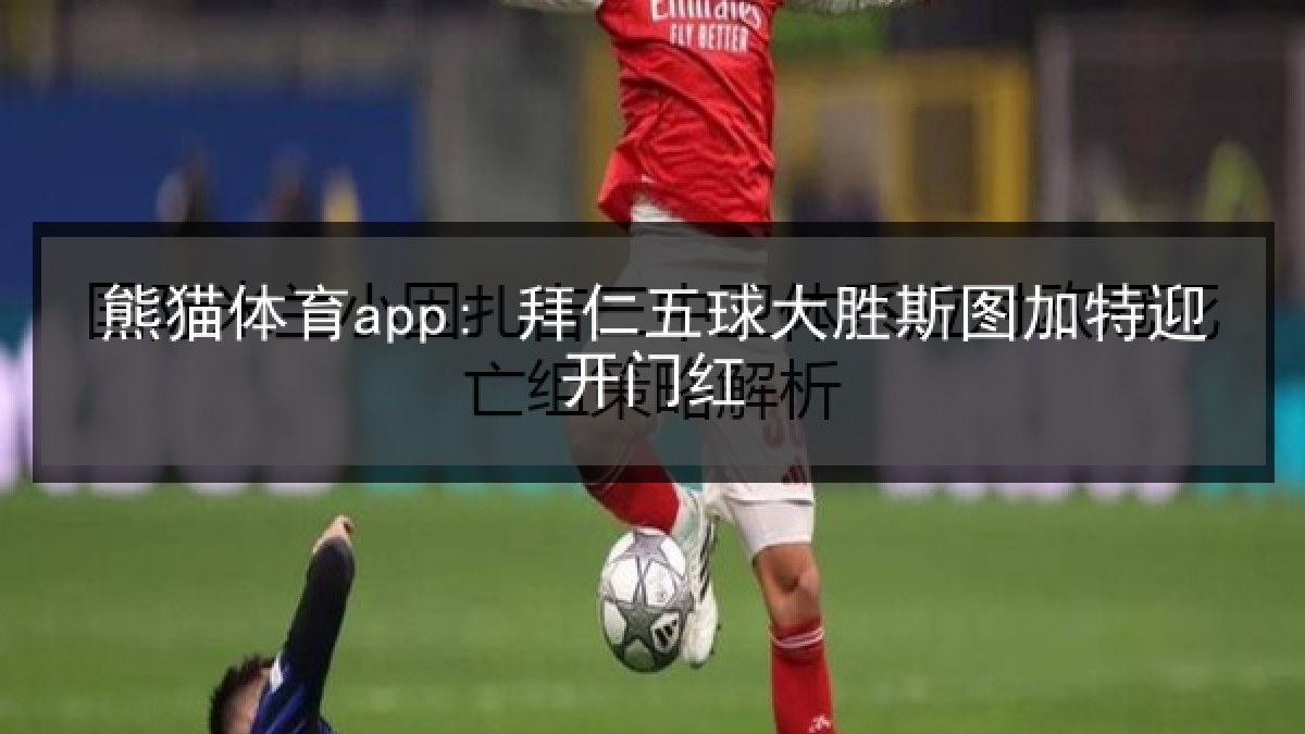 熊猫体育app: 拜仁五球大胜斯图加特迎开门红